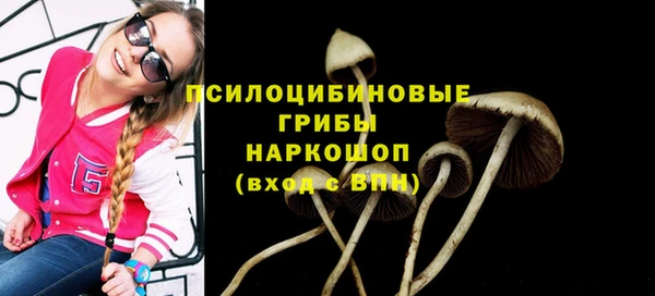 спиды Липки
