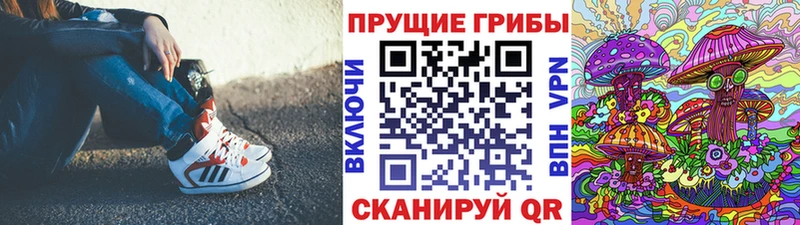 Псилоцибиновые грибы мицелий Подольск