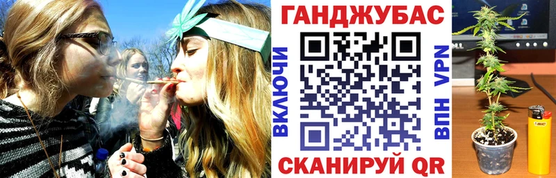 Купить где  Подольск  Бошки марихуана план 